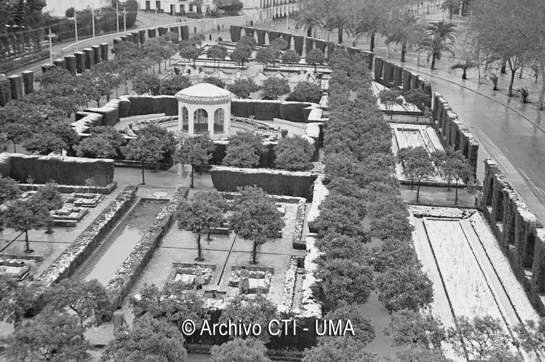 Málaga nevada. Jardines de Pedro Luis Alonso. Febrero 1954 - UMA