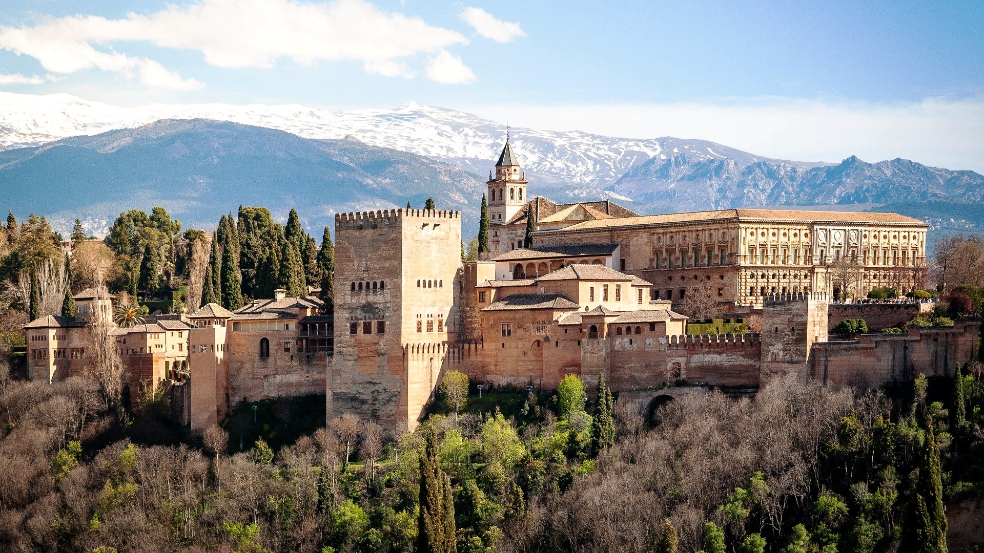 tours from marbella to granada